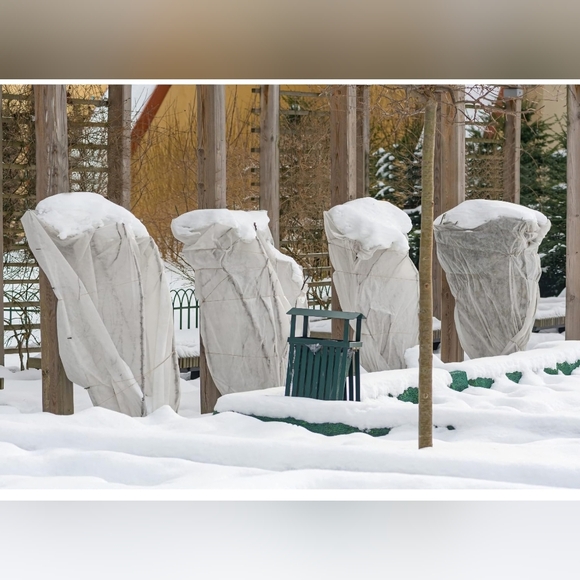 6Pcs Large Winter Drawstring Plant Covers Freeze Frost Protection Bag 39.4"×39.4 - Picture 4 of 6